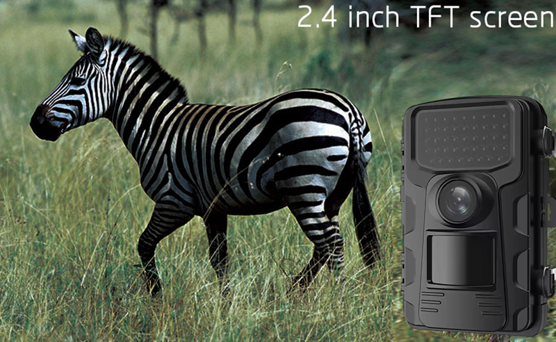 Outdoor Sports Hunting Cameras – обзор и цена Outdoor Hunting Videos