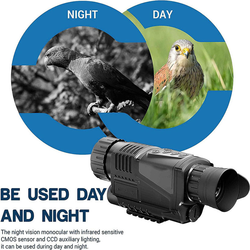 Low Light Night Vision Hunting – обзор и цена Outdoor Hunting Videos